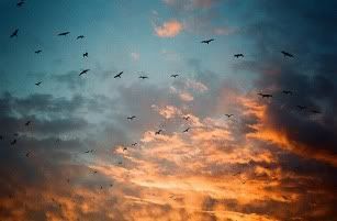 Photobucket Pictures, Images and Photos