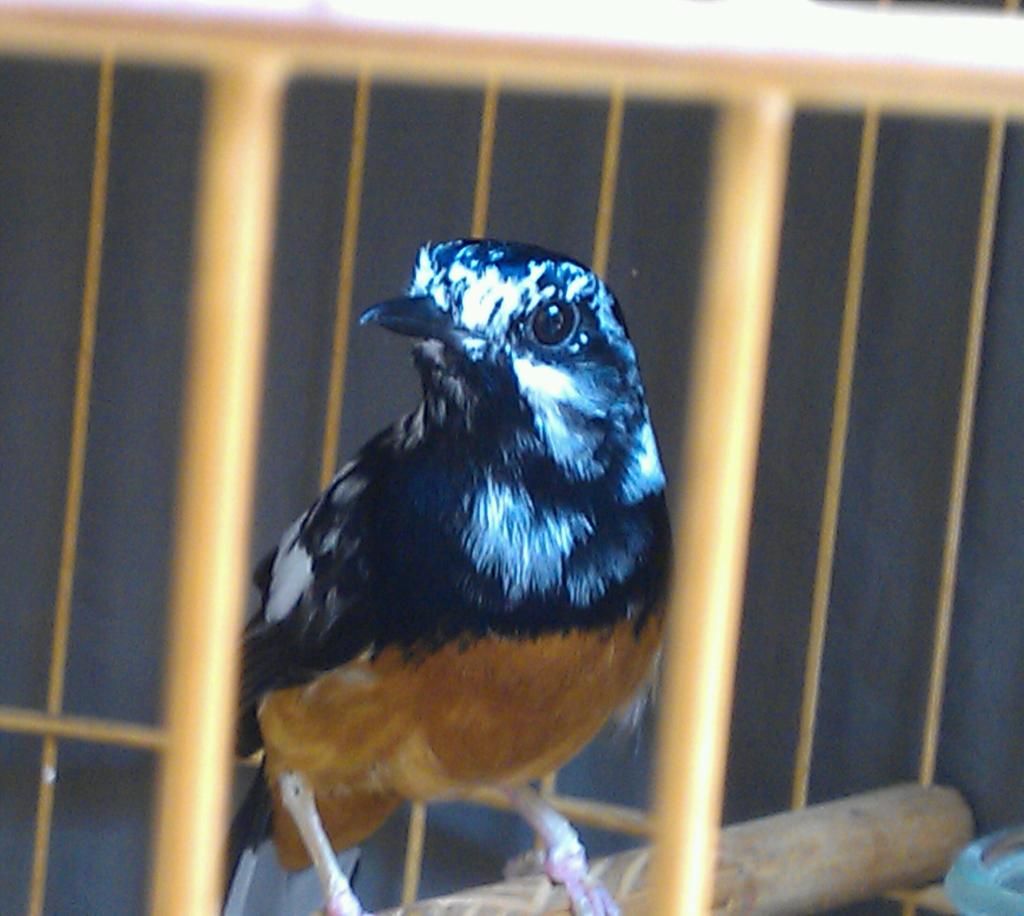 IMAG0330-1.jpg