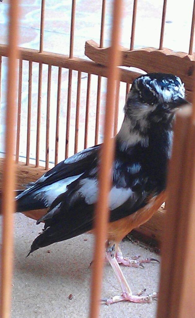 IMAG0344-1.jpg