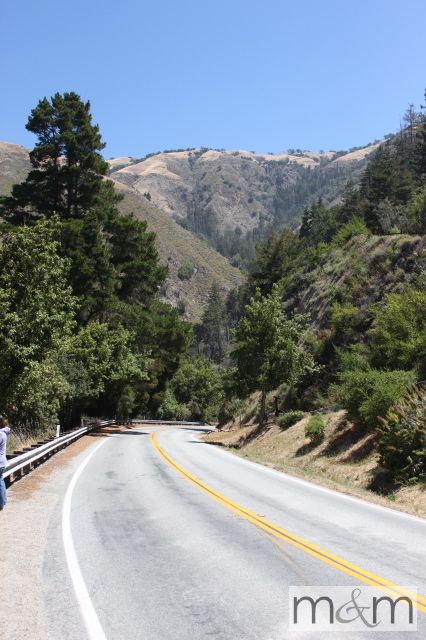 photo BigSur_11_zps80c38f43.jpg