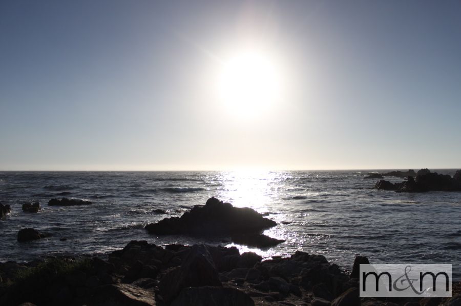 photo BigSur_15_zps64d5ef2c.jpg
