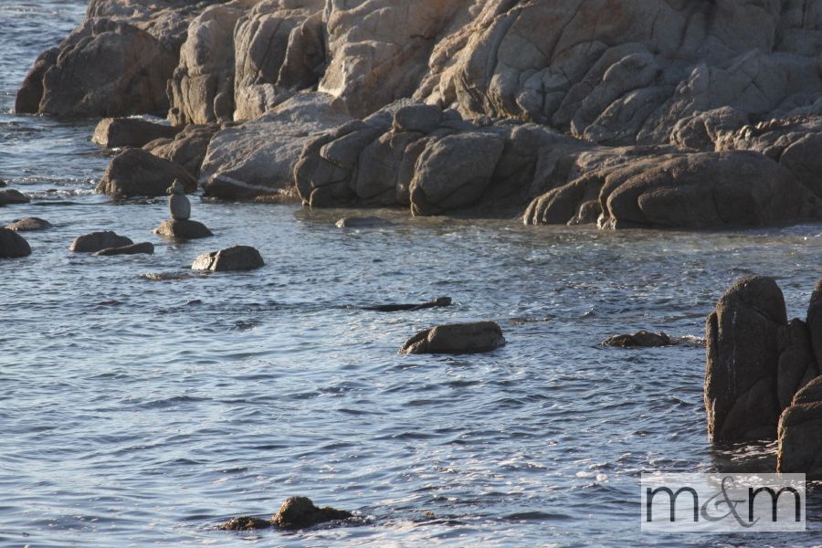 photo BigSur_16_zpsa3c4b84a.jpg