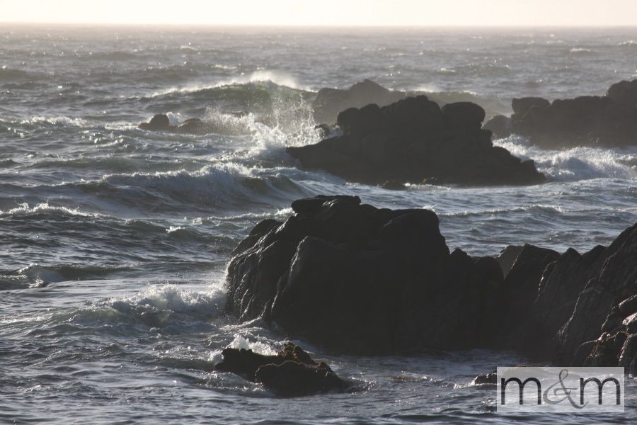 photo BigSur_19_zps3110b652.jpg