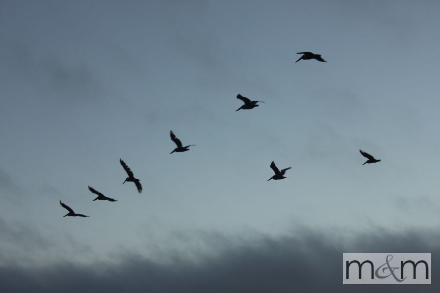 photo BigSur_25_zpsb08ba815.jpg