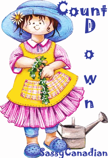 Countdown photo Animation1-3.gif