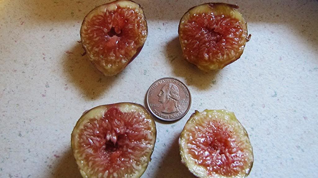  photo 8574ede7-716d-445f-811d-4073cc6277cf.jpg