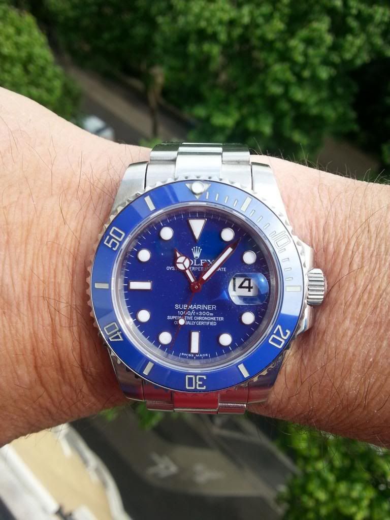 shark02b_zps42d92e98.jpg