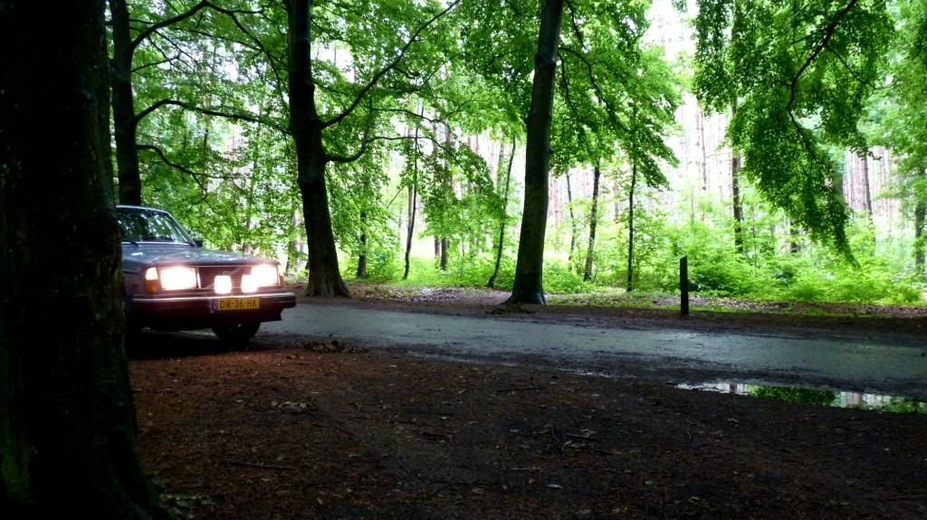 [Afbeelding: Tonyjpg.jpg]