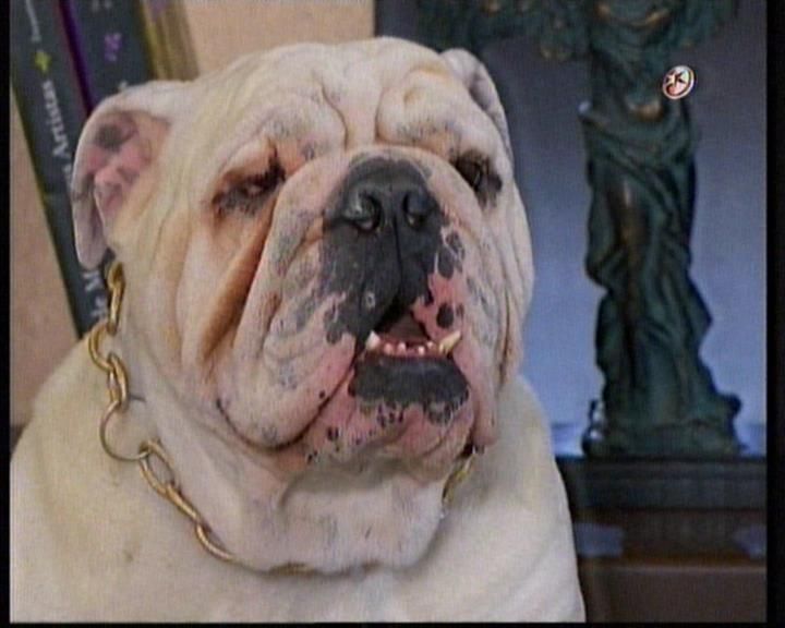  photo 20130513_230811_0.jpg