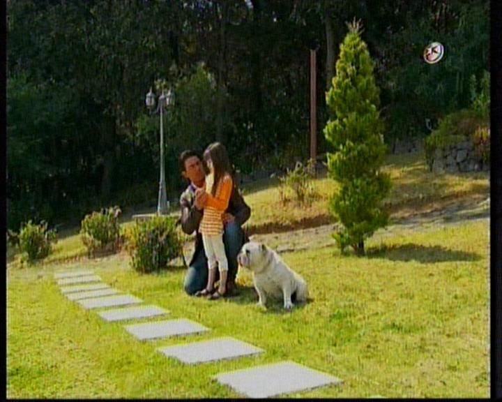  photo 20130515_232753_0.jpg