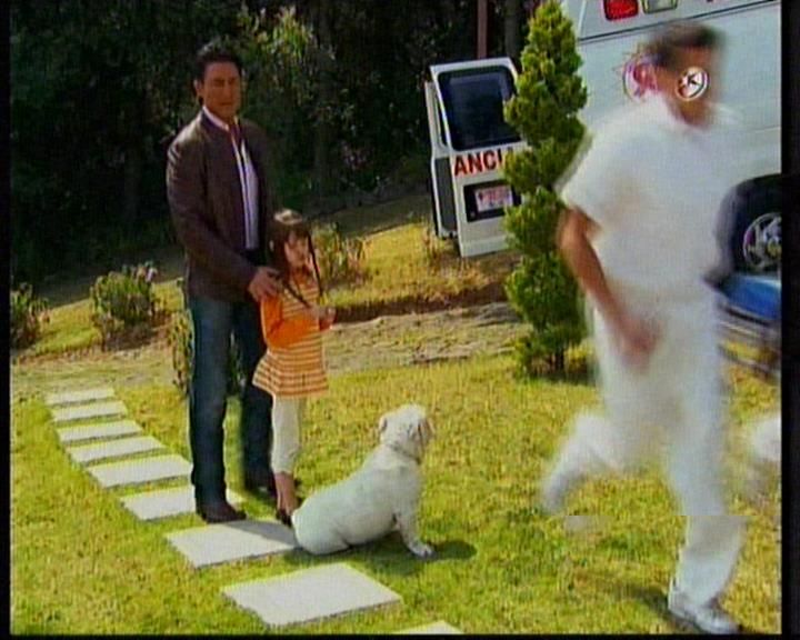  photo 20130515_232855_0.jpg