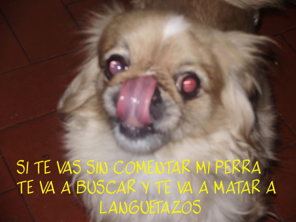 tineye tineye