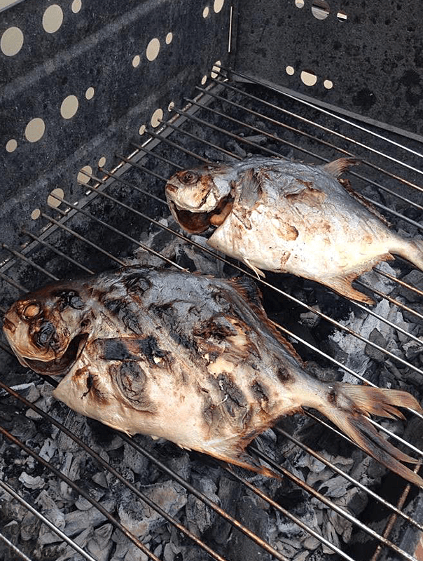 Grilled Pompano