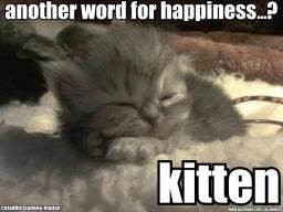 happykitten.jpg