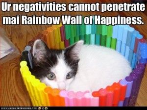 rainbowcat.jpg