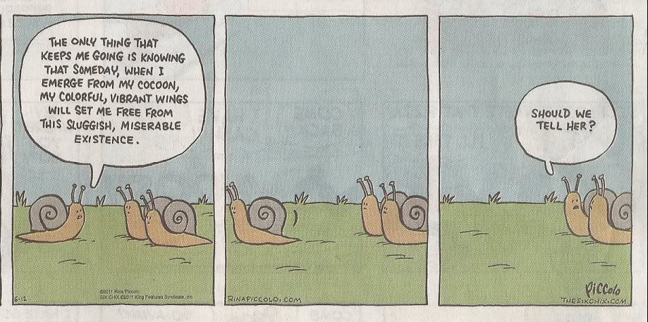 snails.jpg