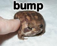 frog_bump_zps2eaa1912.jpg