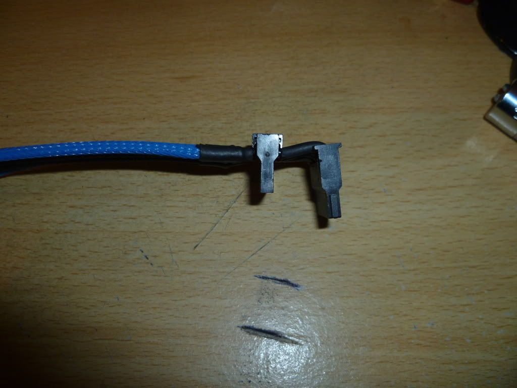 P1000828.jpg