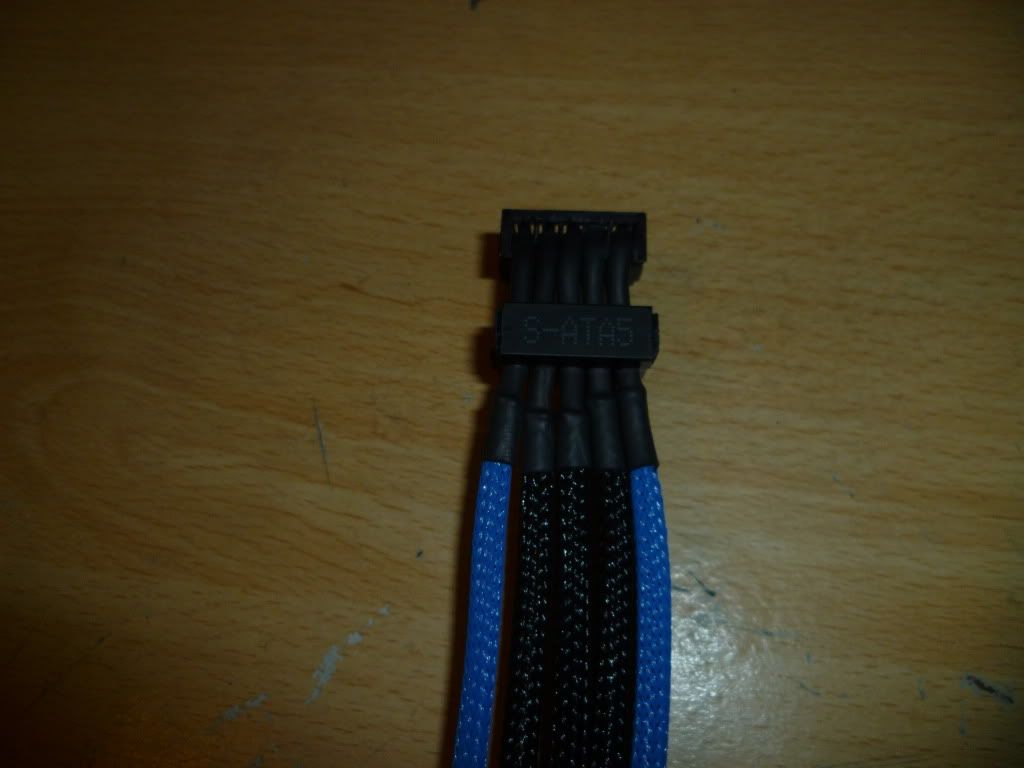 P1000830.jpg