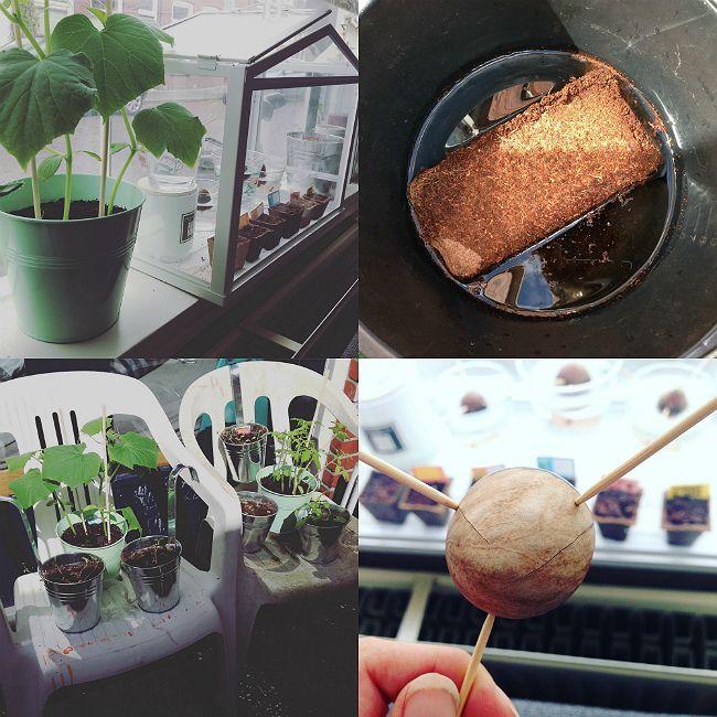moestuin buitenspelen