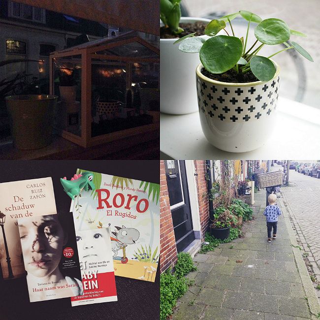 Boeken uit de kringloopwinkel pilea peperomioides