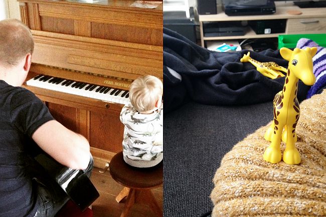 Giraffe muziek maken