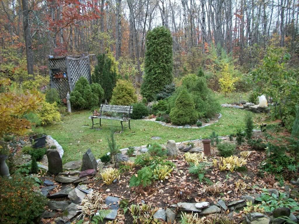Late fall