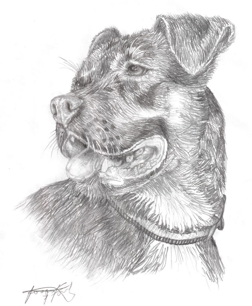 Mis dibujos a lapiz - Taringa!