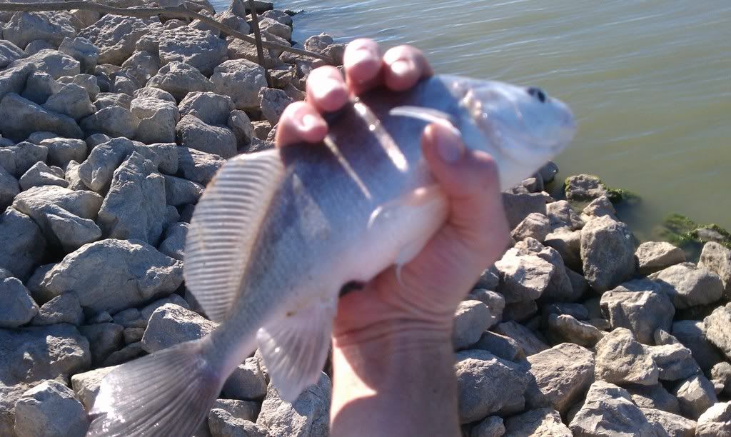 ラヴォン湖での夕方の釣りラヴォン湖での夕方の釣り  