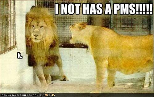 [Image: funny-pictures-girl-lion-yells-at-boy-lion.jpg]