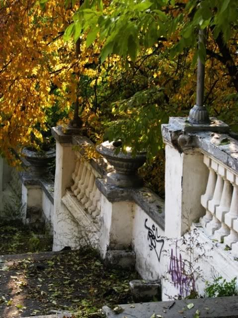 ��адион �енина
