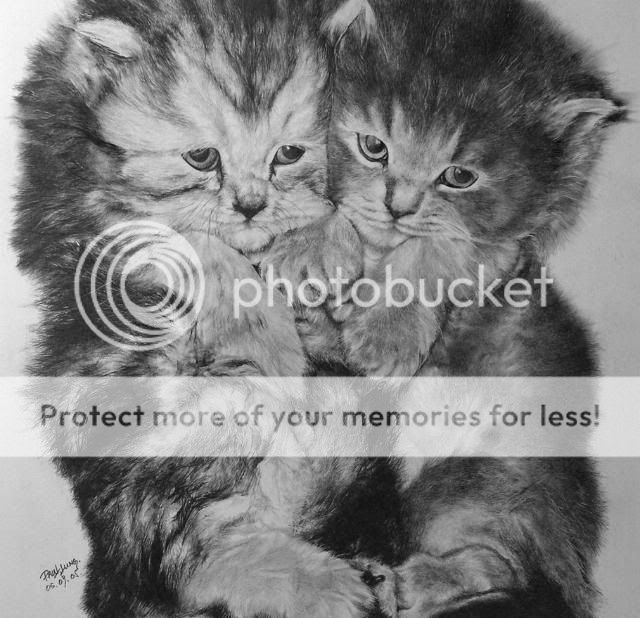 http://i1196.photobucket.com/albums/aa413/Sanka75/Painters/Baby_Cat_by_paullung.jpg