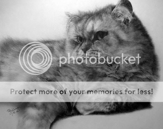 http://i1196.photobucket.com/albums/aa413/Sanka75/Painters/Cat_drawing_for_Calendar_10pcs_by_paullung.jpg