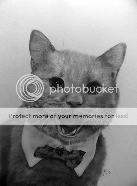 http://i1196.photobucket.com/albums/aa413/Sanka75/Painters/Friend__s_Cat_Mocha_by_paullung.jpg