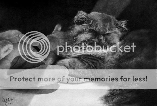 http://i1196.photobucket.com/albums/aa413/Sanka75/Painters/My_8th_cat_drawing__by_paullung.jpg