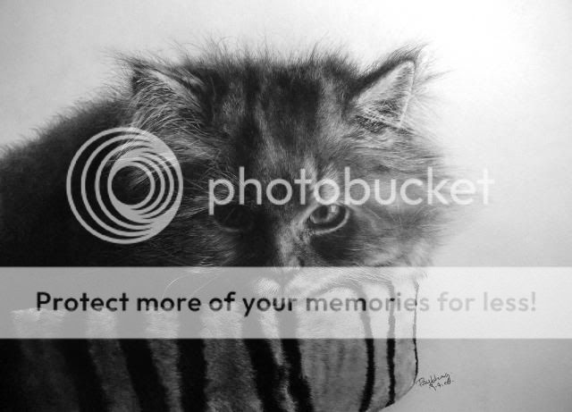 http://i1196.photobucket.com/albums/aa413/Sanka75/Painters/my_9th_pcs_of_cat_drawing_by_paullung.jpg