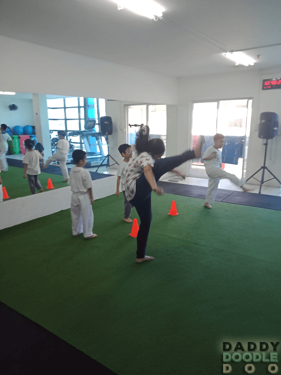 Purple's Taekwondo Summer Activity