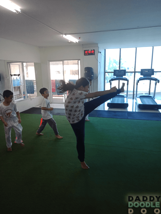 Purple's Taekwondo Summer Activity