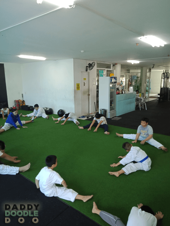 Purple's Taekwondo Summer Activity