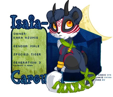 User Image