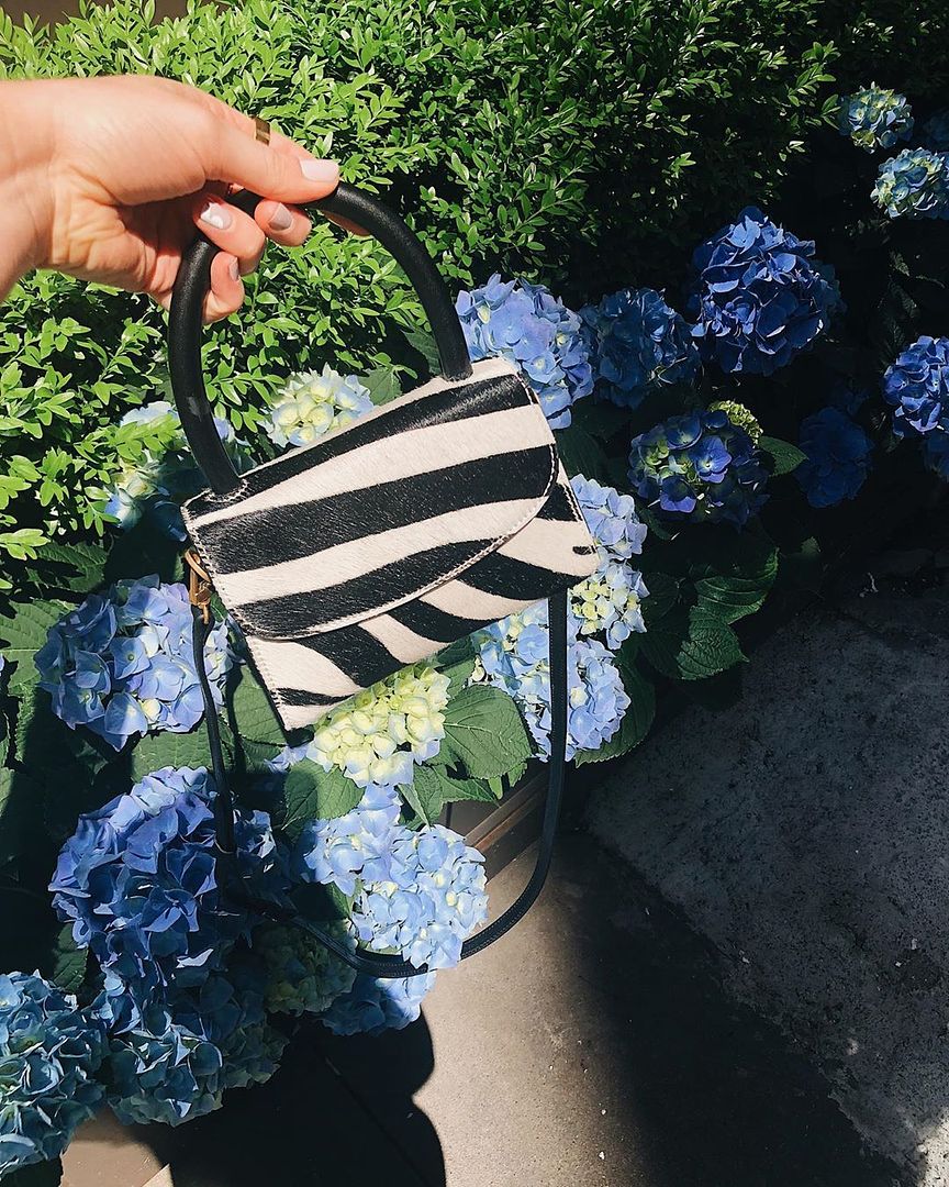 Le Fashion Blog Shop Zebra Print Bags For Summer Via Laurenegg Instagram